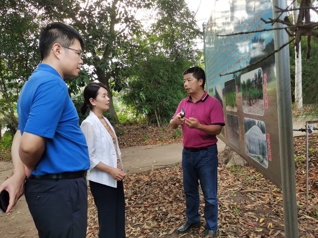 黄玉真副局长到赤湖林场调研